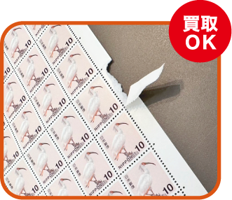耳がみが破れている